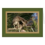 Black-crowned night heron chicks_ff0513 greeting card