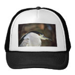 Black-crowned night heron hat