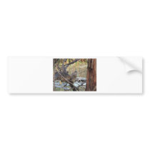 Black Crowned Night Heron Juvenile Bumper Stickers