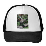 Black-crowned night heron mesh hats