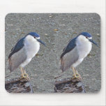 Black-crowned night heron mousepad