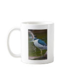 Black-crowned Night heron Coffee Mugs