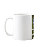 Black-crowned Night heron Coffee Mugs