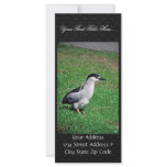 Black-crowned night heron rack card template
