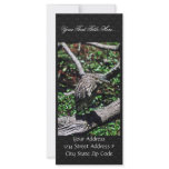 Black-crowned night heron custom rack card