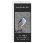 Black-crowned night heron rack card design