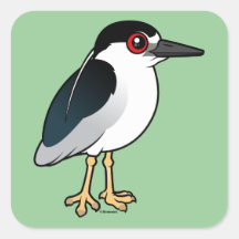Black-crowned Night Heron Square Stickers