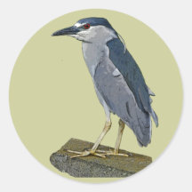 Black-crowned Night Heron Sticker
