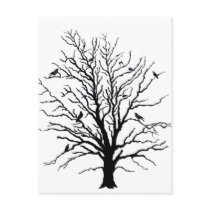 Black Crows Gathering in Tree postcards
