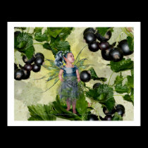 Black Current Fairy posters