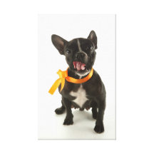 Black Cute Dog 23 Stretched Canvas Print