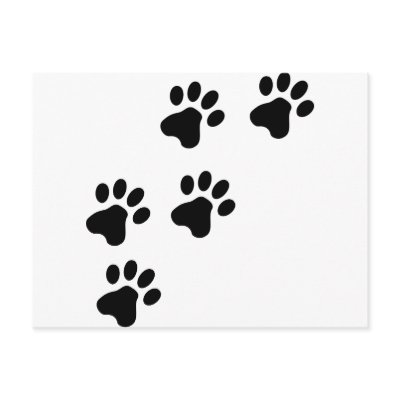 black cute dog paws doggy post cards by Tomaniac