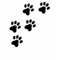 black cute dog paws doggy t-shirts by Tomaniac black cute dog paws doggy t-shirts