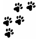 black cute dog paws doggy t-shirts by Tomaniac black cute dog paws doggy t-shirts