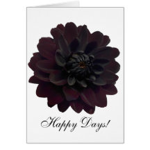 Black Dahlia Greeting Cards