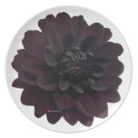 Black Dahlia Plates