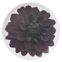 Black Dahlia Plates