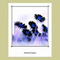 Black Daisies posters