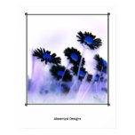 Black Daisies