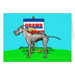 Black Dane Pi$$ on Obama Card