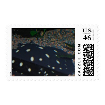 Black Devil Stingray Postage Stamp by WildlifeAnimals