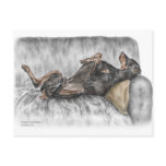 Black Doberman Pinscher Guard Dog Postcard