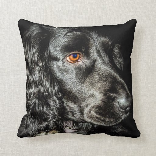 Black dog cushion throw pillow Zazzle