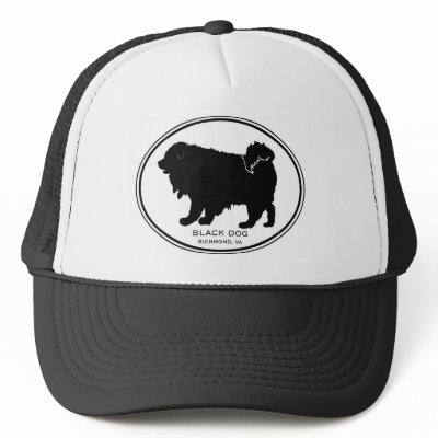 Black Dog Hat by richmondspca