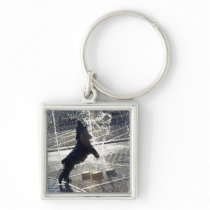 Black dog jumping through fountain on waterside keychains