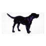 Black Dog Photo Cards