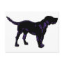 Black Dog Post Cards