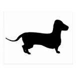 black doie postcard