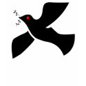 black dove t-shirts