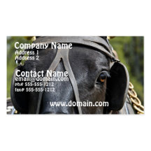 Black Draft Horse  Business Card