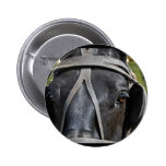 Black Draft Horse  Round Button