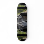 Black Draft Horse  Skateboard