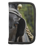 Black Draft Horse Wallet Folio Planner