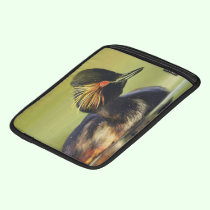 Black Duck bird portrait painting ipad sleeves