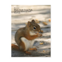 Black Duck Cove Park postcards