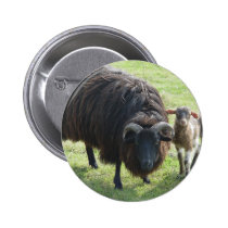 Black Ewe buttons