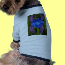 Black Eye Susan 1a pet clothing