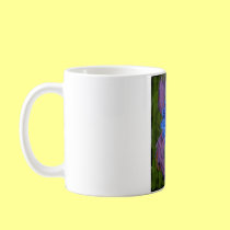 Black Eye Susan 1a mugs