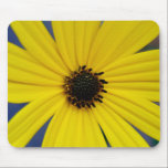 Black Eye Susan Macro mousepads