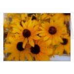 Black Eye Susans Card