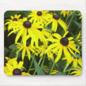 Black Eye Susans mousepads by jbarlow1213 Black Eye Susans mousepads