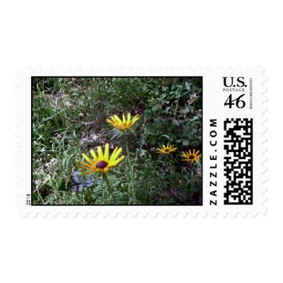 Black Eye Susans Postage Stamps by eelkat