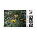 Black Eye Susans postage by eelkat Black Eye Susans postage