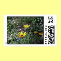 Black Eye Susans postage