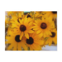 Black Eye Susans postcards by KarisStudio Black Eye Susans postcards