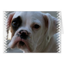 Black Eyed Boxer Dog Greeting Card